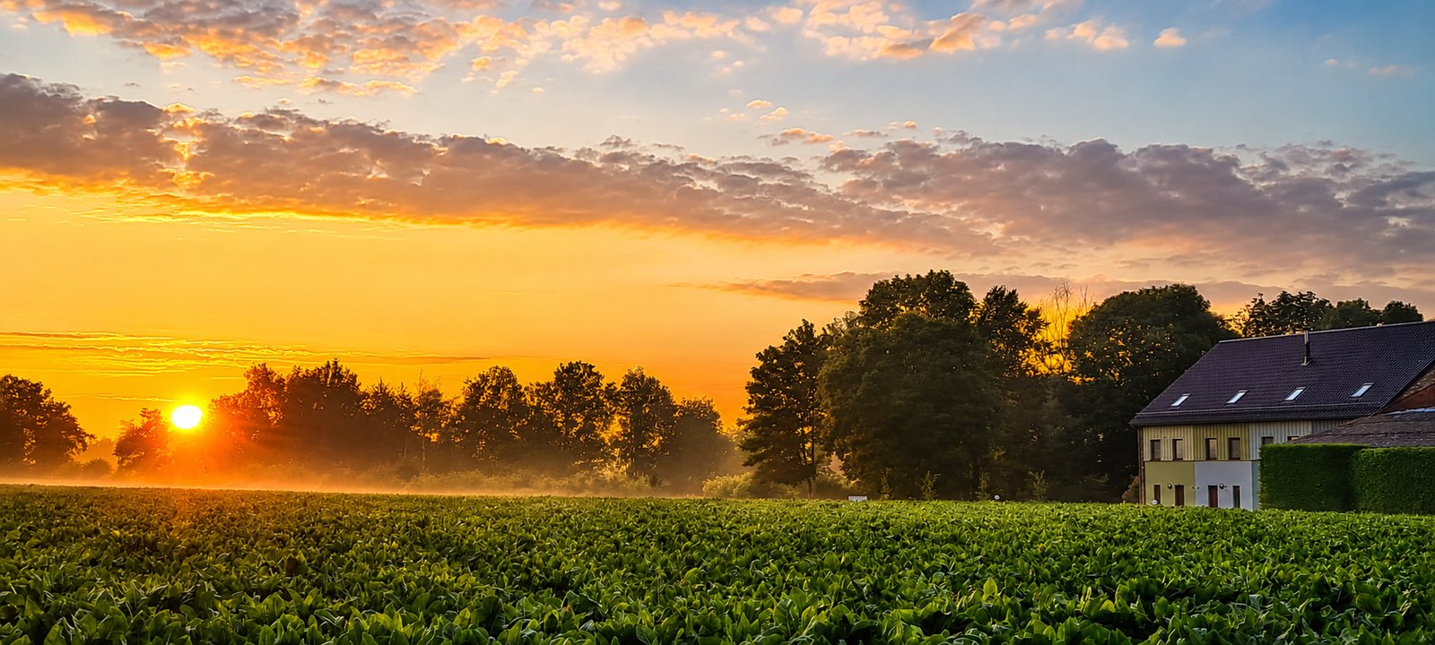 Zonsondergang boven de velden bij de Snauwenberg